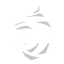 BRI Liga 1 logo
